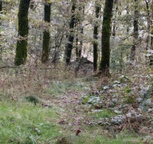 Boucle ''Le Mont'' de Belfort depuis parcours Vita - Cravanche - 2