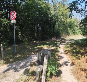 Balade à vélo le long du canal avec partie boisée - Aurore - 4
