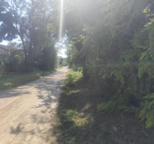 Balade à vélo le long du canal avec partie boisée - Villeurbanne - 2