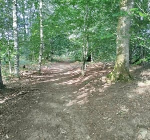 Randonnée de l'Etang Neuf - Montel-de-Gelat - 2