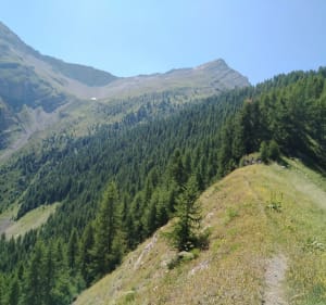 Le Crest vers l'Aiguille - Orcières - 5