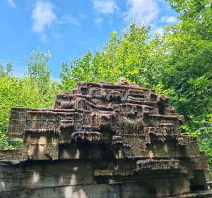 Vent des forêts depuis Fresnes-au-Mont - Fresnes-au-Mont - 2