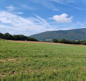 Sentier du Vuache - Jonzier-Épagny - 2