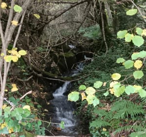 Visite de Murât et du rocher aux fées - La Bourboule - 2