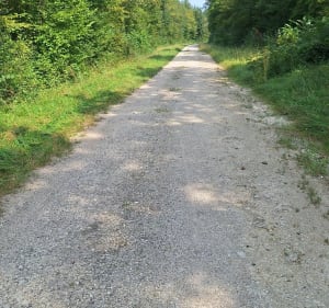 Forêt communales de Magny-Saint Médard- Belleleneuve - Magny-Saint-Médard - 2
