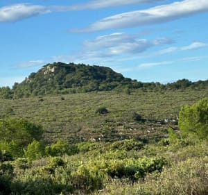 Randonnée dans le massif de la Clape - Narbonne - 2