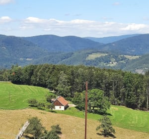 Les Bagenelles et Aubure à partir de Saint Marie aux Mines - Lièpvre - 2
