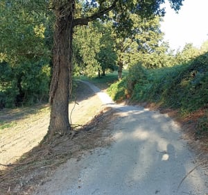 Promenade à La Boissière-de-Montaigu - La Boissière-de-Montaigu - 2