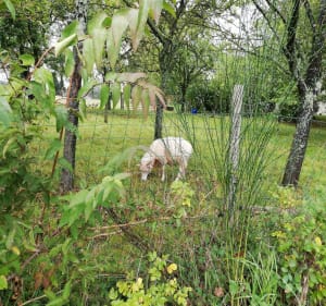 Boucle en campagne - Virginie - 2