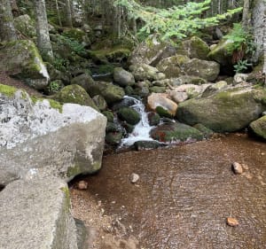 Col de la Chamboite - Chalmazel-Jeansagnière - 2