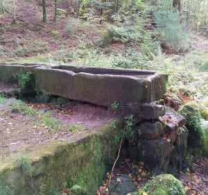 Boucle en forêt et rocher du Calice - Guntzviller - 2
