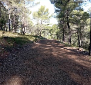 Parcours Test VTTAE Decathlon Aubagne - Aubagne - 4