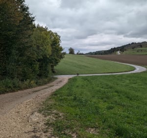 Tour dans les hauteurs de Chavannes - Nivigne et Suran - 2