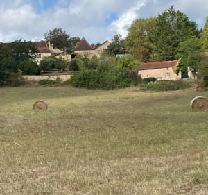 Boucles des genévriers et des fougères depuis Brouchaud. - Brouchaud - 2