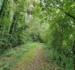 Canal Haute Seine entre Saint-Lyé et Barberey - Saint-Lyé - 2