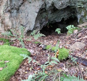 Point de vue au Hirlenstein - Cernay - 2
