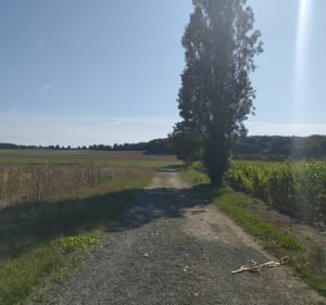 Tour des ballastières - Cloyes-les-Trois-Rivières - 2