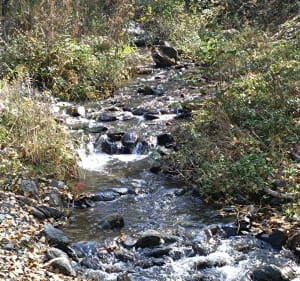Boucle forestière Osseja Palau-de-Cerdagne - Osséja - 2