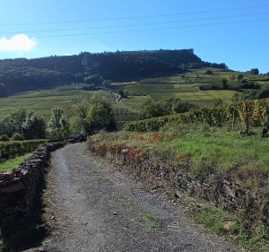 Entre les deux roches de Solutré et Vergisson - Davayé - 2