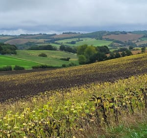 Sentier du Kazé - Variante 8 km - Simorre - 2