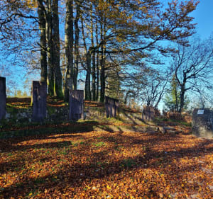 Temple du Donon en aller-retour - Grandfontaine - 2