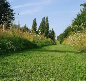 Sortie à Saint-Martin-Les-Tatinghem - Saint-Omer - 2