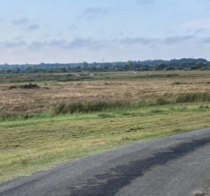 Balade au milieu des marais de Marennes - Marennes-Hiers-Brouage - 2