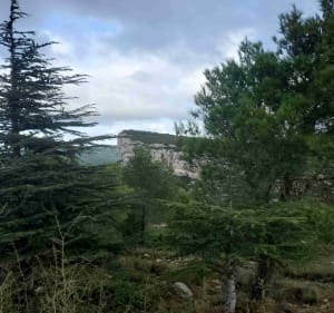 La couronne Charlemagne - Cassis - 2
