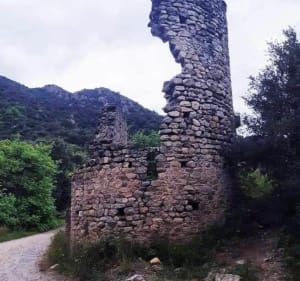 Voyage dans les entrailles de Laroque - Laroque-des-Albères - 2