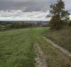 Boucle au col de Westhoffen - Westhoffen - 2