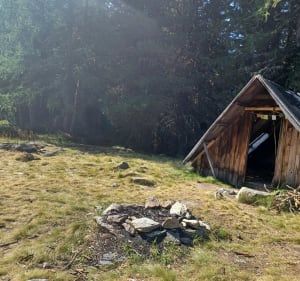 Les géants de Malgovert par le sentier des Arollins - Bourg-Saint-Maurice - 2