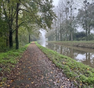 De Méry-sur-Cher à Thénioux par le canal - Méry-sur-Cher - 2