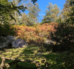 Les vaux de Cernay - Stéphanie - 3