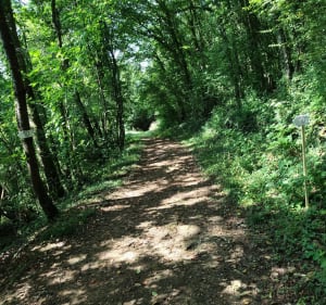 Rando sur les coteaux d'Auboué - Ludovic - 3