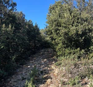Meyrargues - Meyrargues - 2