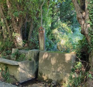 Sentier du dessin - Cazalrenoux - 5