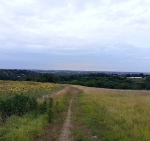 Entre campagne, Parc Rabaudy et ville Castanéenne - Castanet-Tolosan - 2