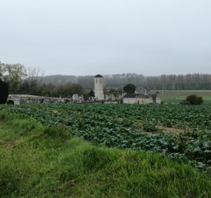 Autour du château de Brézé - Bellevigne-les-Châteaux - 2