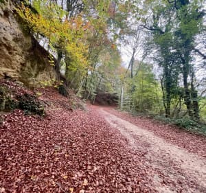 Balade au départ des Creuttes - Mons-en-Laonnois - Mons-en-Laonnois - 2
