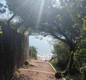 Sentier littoral du Pin de Galle à La Garonne - Le Pradet - 4