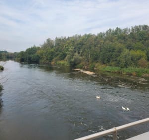 Pulligny - Dombasles sur Meurthe - Edwige - 2