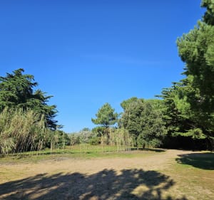 Rando automnale à l'île de ré - Sainte-Marie-de-Ré - 2