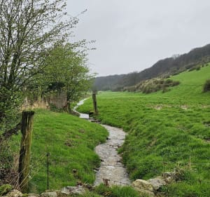 Autour de Renty par le sentier du Charles Quint - Renty - 2