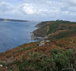 Autour du Cap de la Chèvre - Crozon - 2