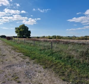 De Balloy à Bazoches-lès-Bray - Balloy - 2
