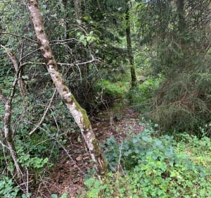 Promenade de Lochere - Ferdrupt - 2