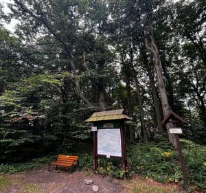 Wokół Sałasza - Pisarzowa - 2
