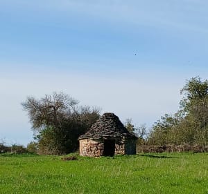Randonnée de Theminettes en passant par Saint Simon et Sonac - Théminettes - 2
