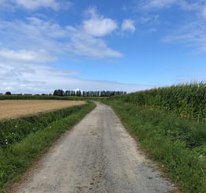 Balade terre et mer du Vivier-sur-mer jusqu’à Vildé - Le Vivier-sur-Mer - 3