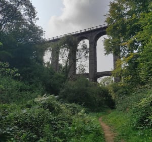 La vallée du ruisseau du Parfond du Gouet - Plérin - 2